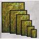 Quadro Decorativo Estrada com �rvores