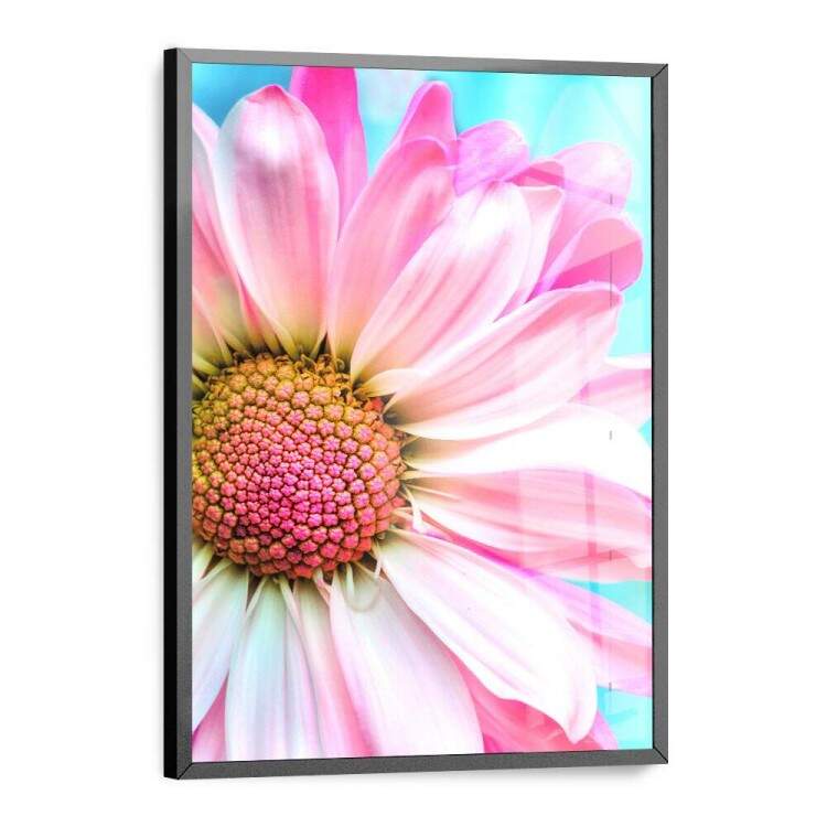 Quadro Decorativo Flor Rosa