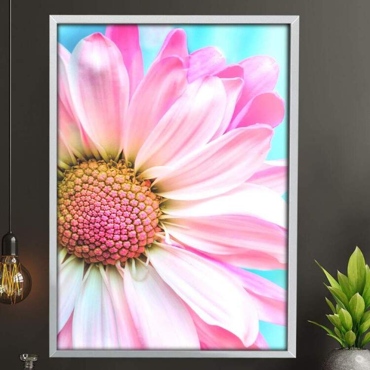 Quadro Decorativo Flor Rosa