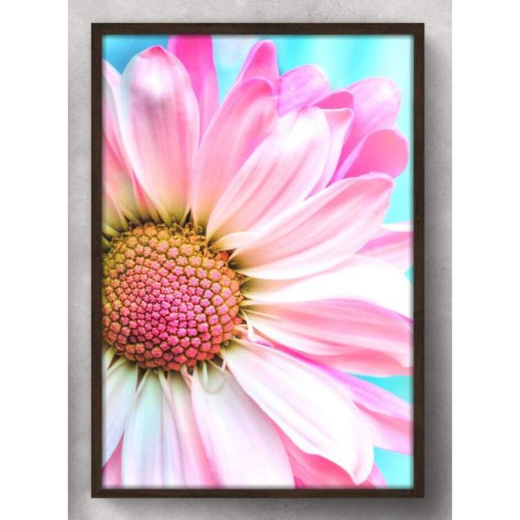 Quadro Decorativo Flor Rosa