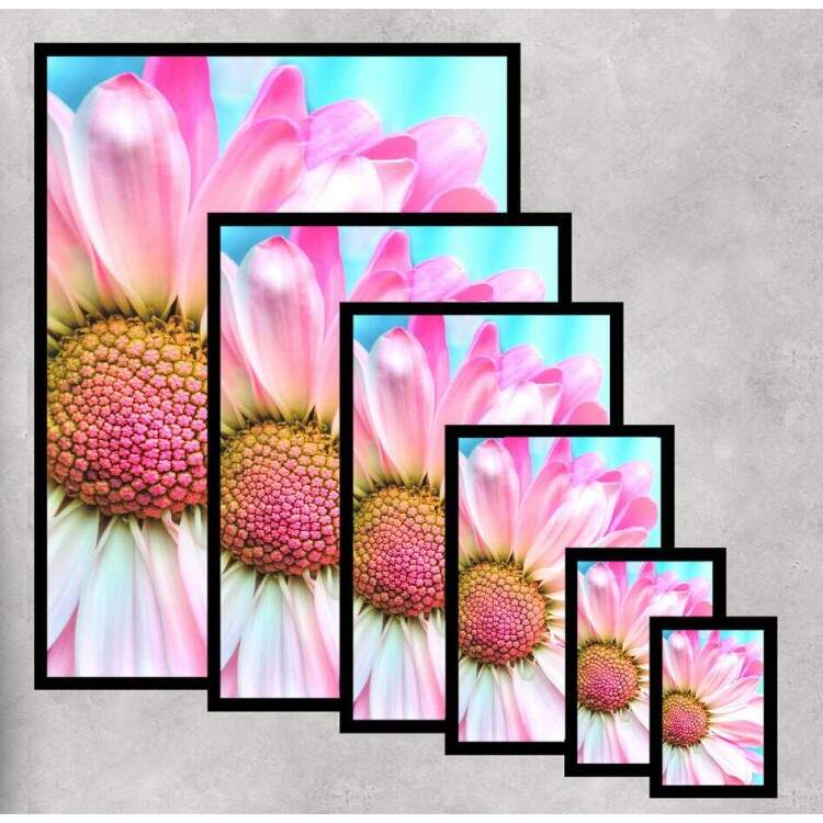 Quadro Decorativo Flor Rosa