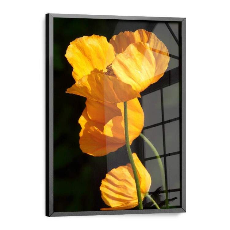 Quadro Decorativo Flores Amarela