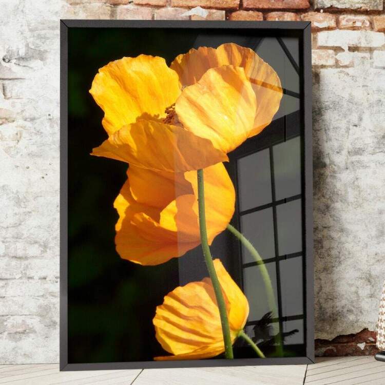 Quadro Decorativo Flores Amarela