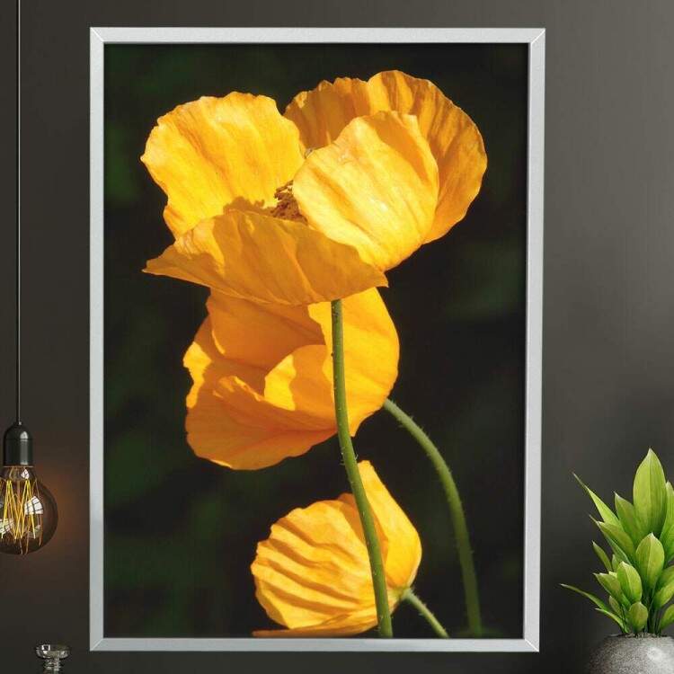 Quadro Decorativo Flores Amarela