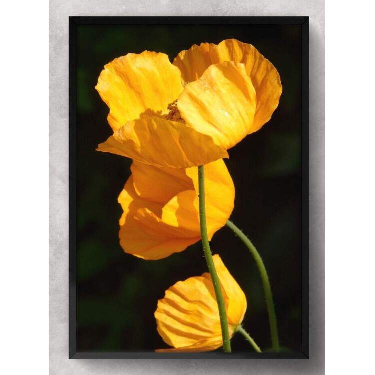 Quadro Decorativo Flores Amarela