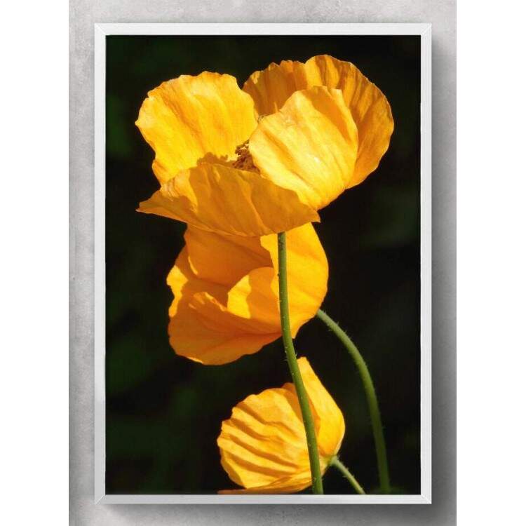 Quadro Decorativo Flores Amarela