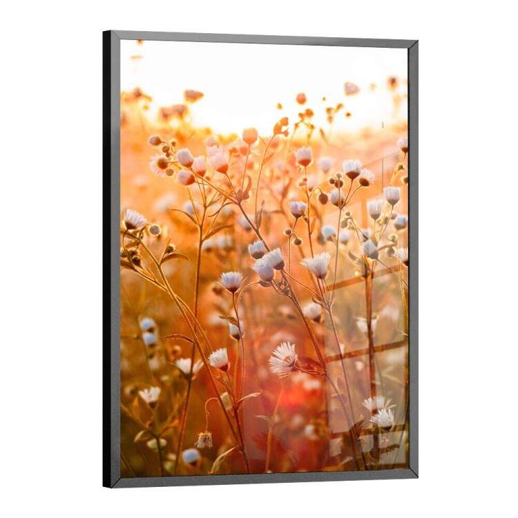 Quadro Decorativo Flores no Campo