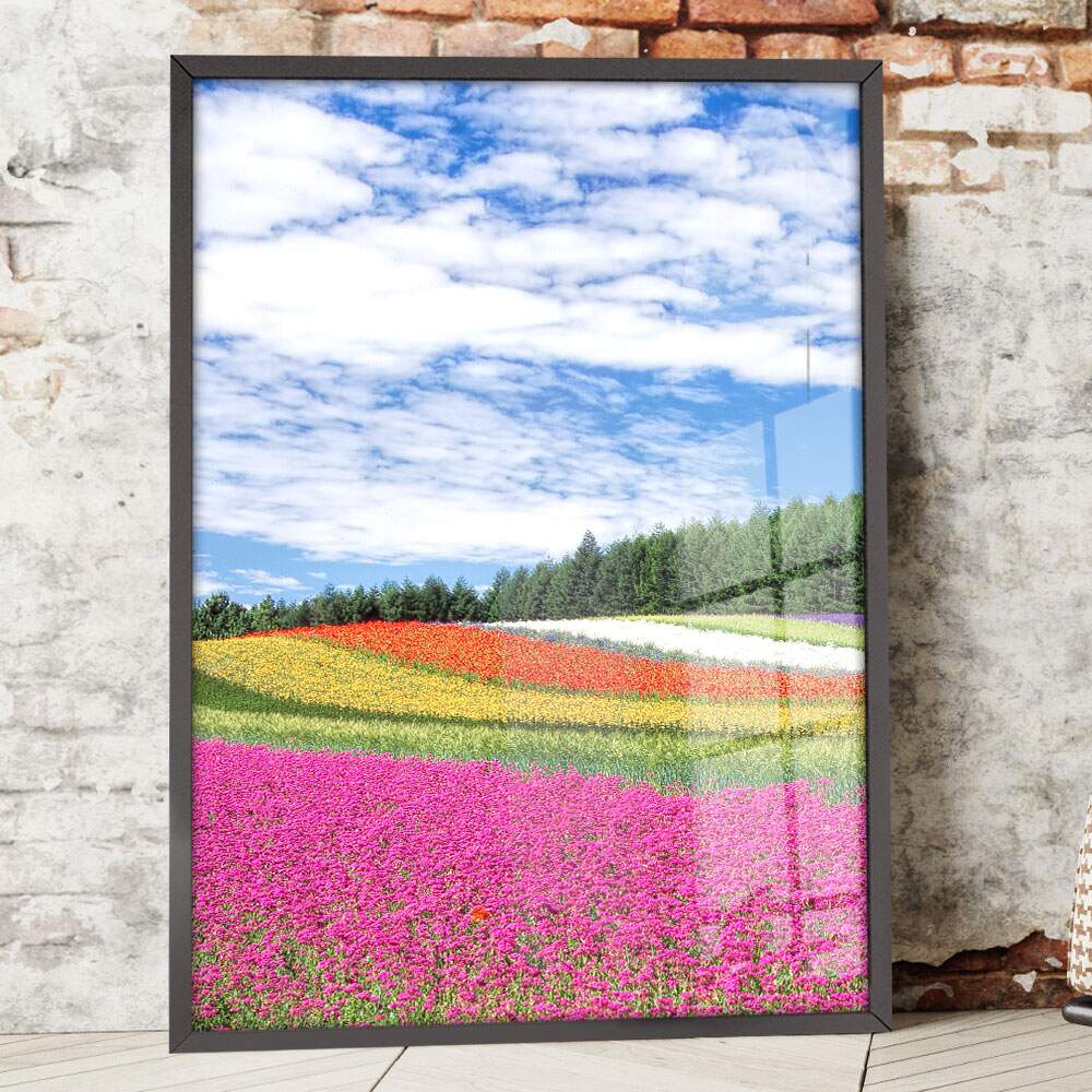 Quadro Decorativo Flores Coloridas no Campo