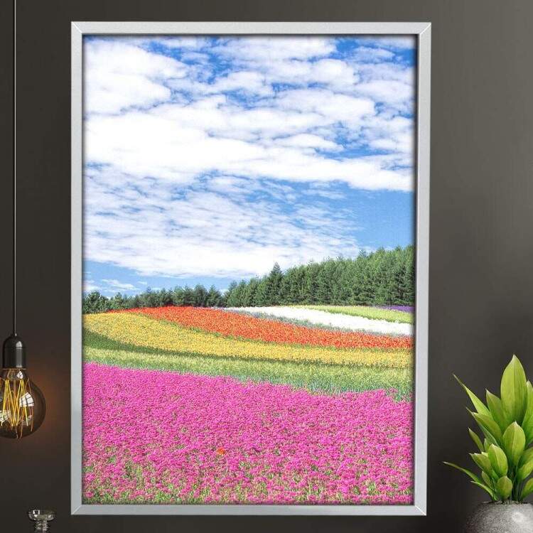 Quadro Decorativo Flores Coloridas no Campo