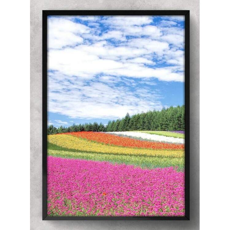 Quadro Decorativo Flores Coloridas no Campo