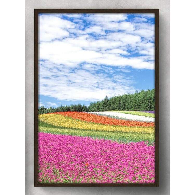 Quadro Decorativo Flores Coloridas no Campo