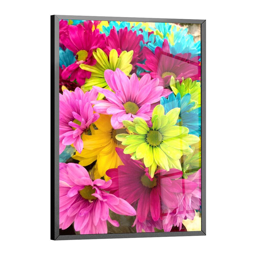 Quadro Decorativo Flores Coloridas