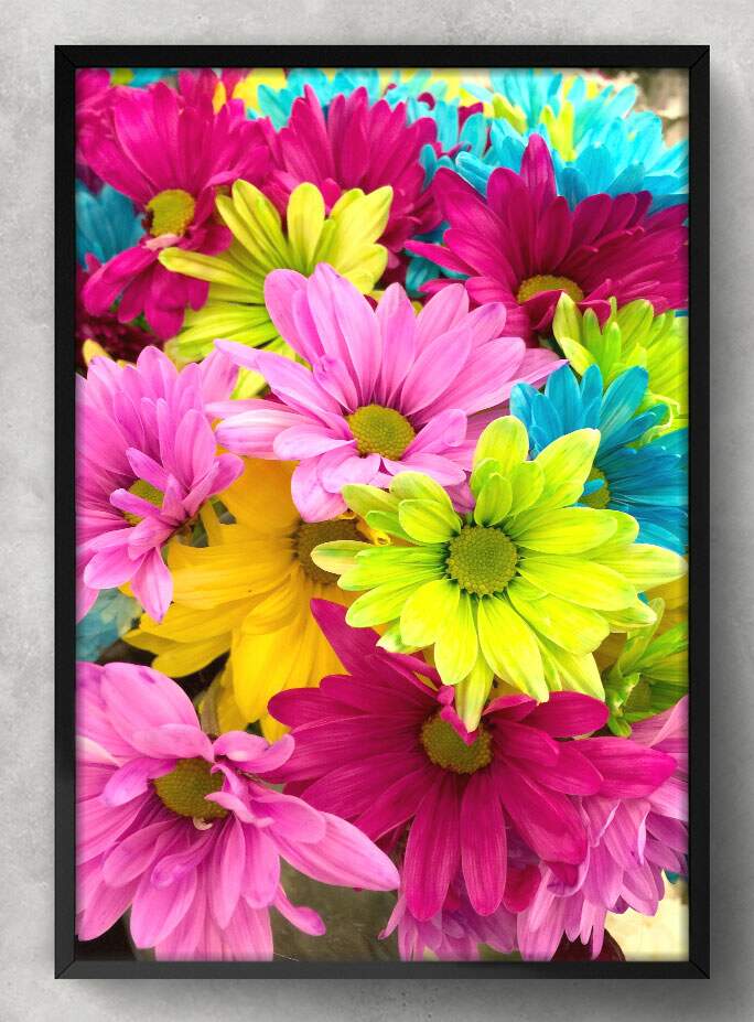 Quadro Decorativo Flores Coloridas