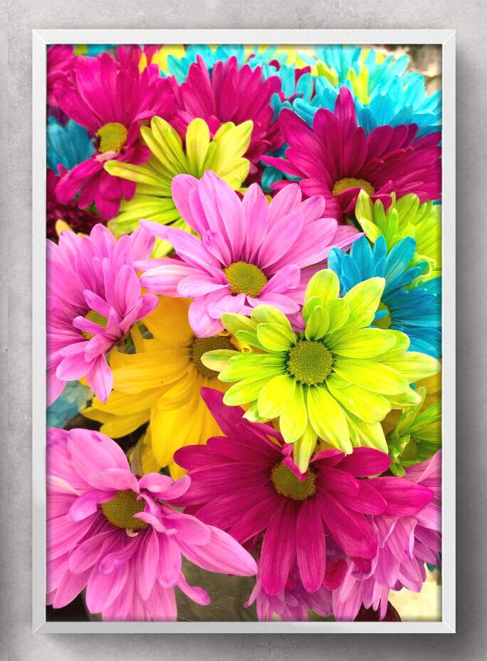 Quadro Decorativo Flores Coloridas