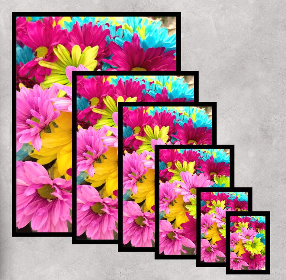 Quadro Decorativo Flores Coloridas