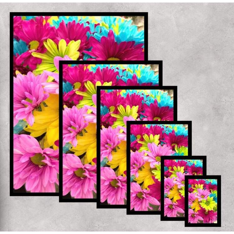 Quadro Decorativo Flores Coloridas