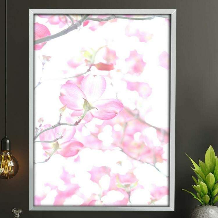 Quadro Decorativo Flores Rosas
