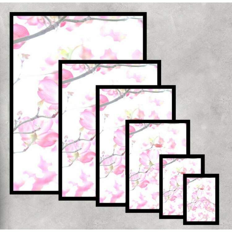 Quadro Decorativo Flores Rosas