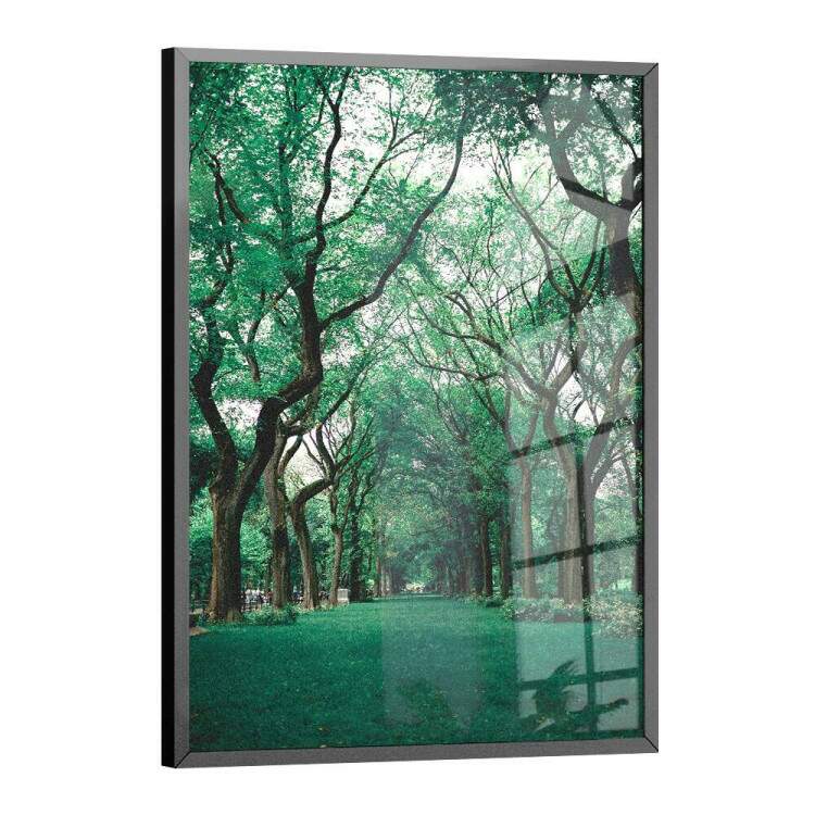 Quadro Decorativo Floresta