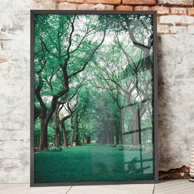 Quadro Decorativo Floresta