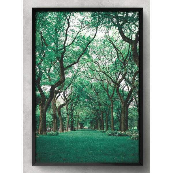 Quadro Decorativo Floresta