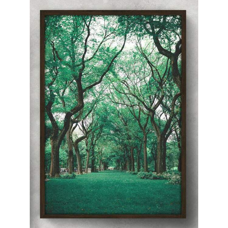 Quadro Decorativo Floresta