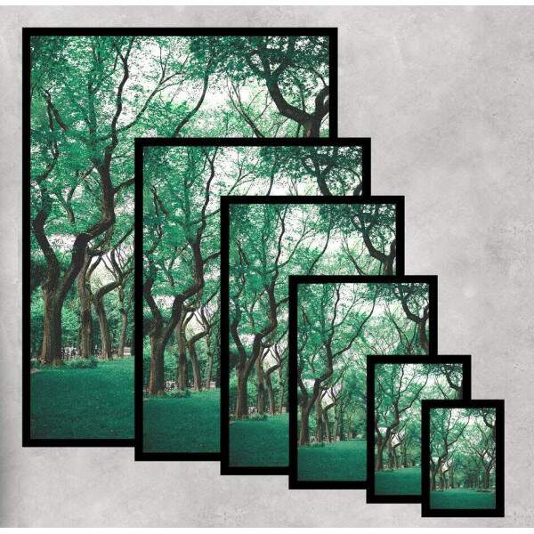 Quadro Decorativo Floresta