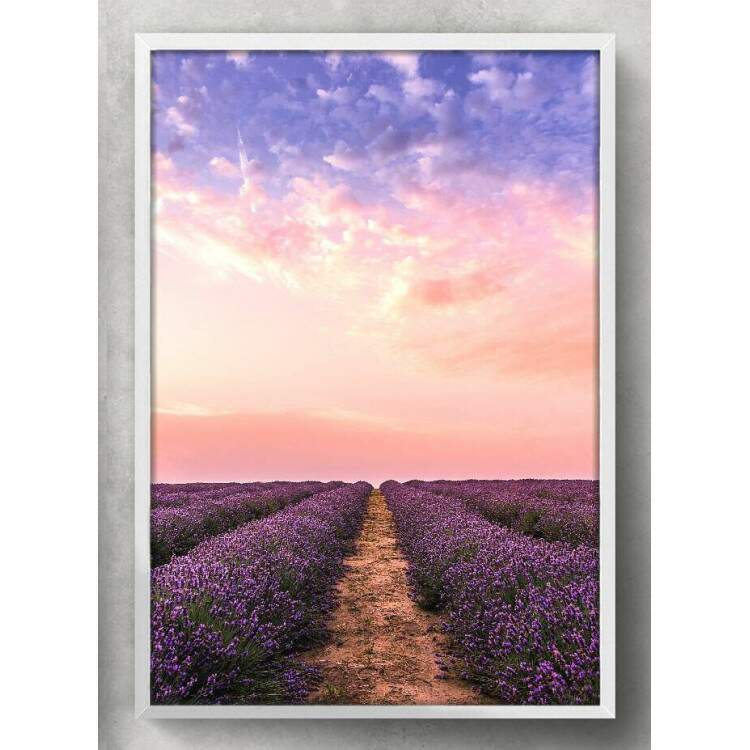 Quadro Decorativo Campo de Lavanda