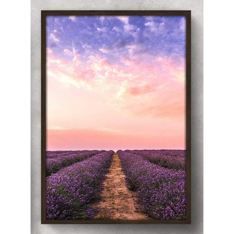 Quadro Decorativo Campo de Lavanda