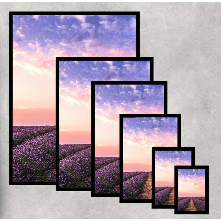 Quadro Decorativo Campo de Lavanda