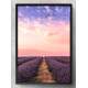 Quadro Decorativo Campo de Lavanda