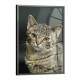 Quadro Decorativo Gatinho