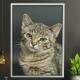 Quadro Decorativo Gatinho