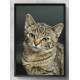Quadro Decorativo Gatinho