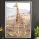Quadro Decorativo Girafa