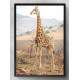 Quadro Decorativo Girafa