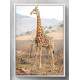 Quadro Decorativo Girafa