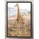 Quadro Decorativo Girafa