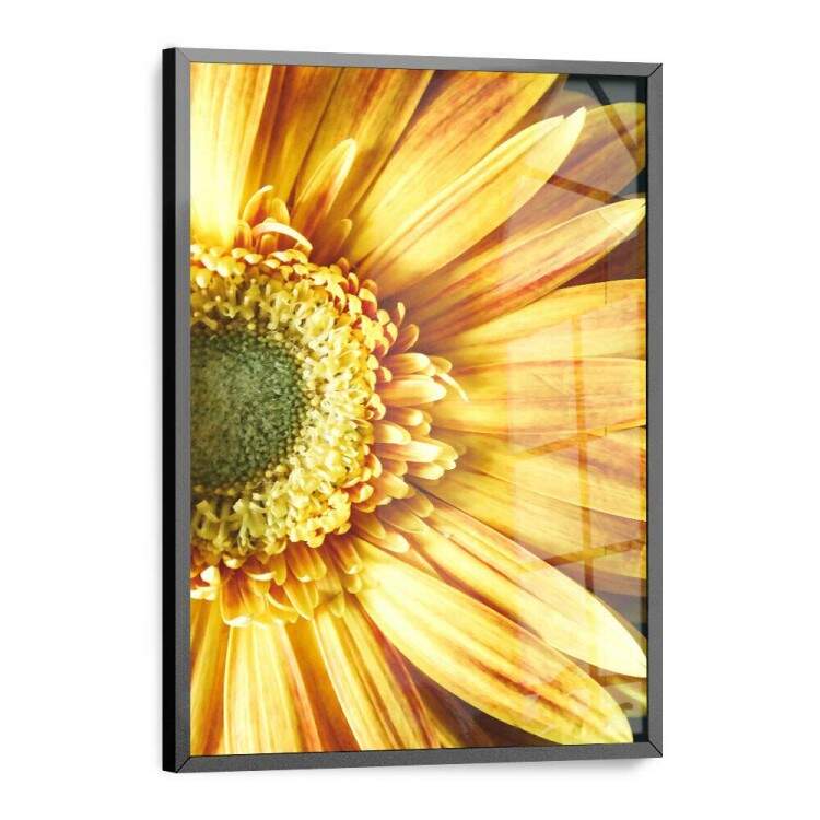 Quadro Decorativo Flor do Girassol