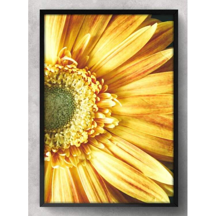 Quadro Decorativo Flor do Girassol