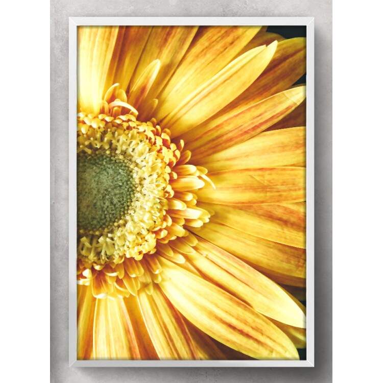 Quadro Decorativo Flor do Girassol