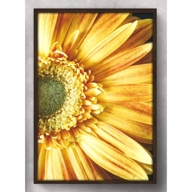 Quadro Decorativo Flor do Girassol