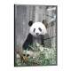 Quadro Decorativo Panda