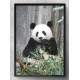 Quadro Decorativo Panda