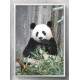 Quadro Decorativo Panda
