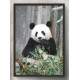 Quadro Decorativo Panda