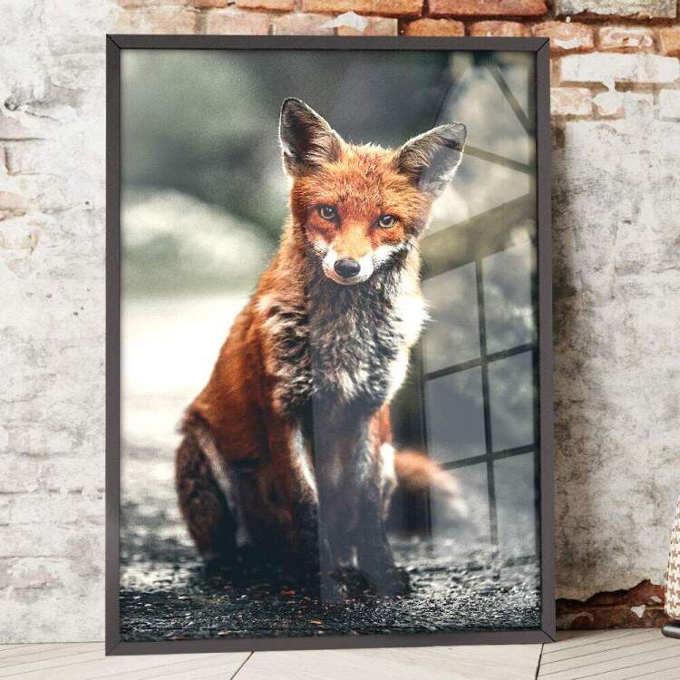 Quadro Decorativo Raposa