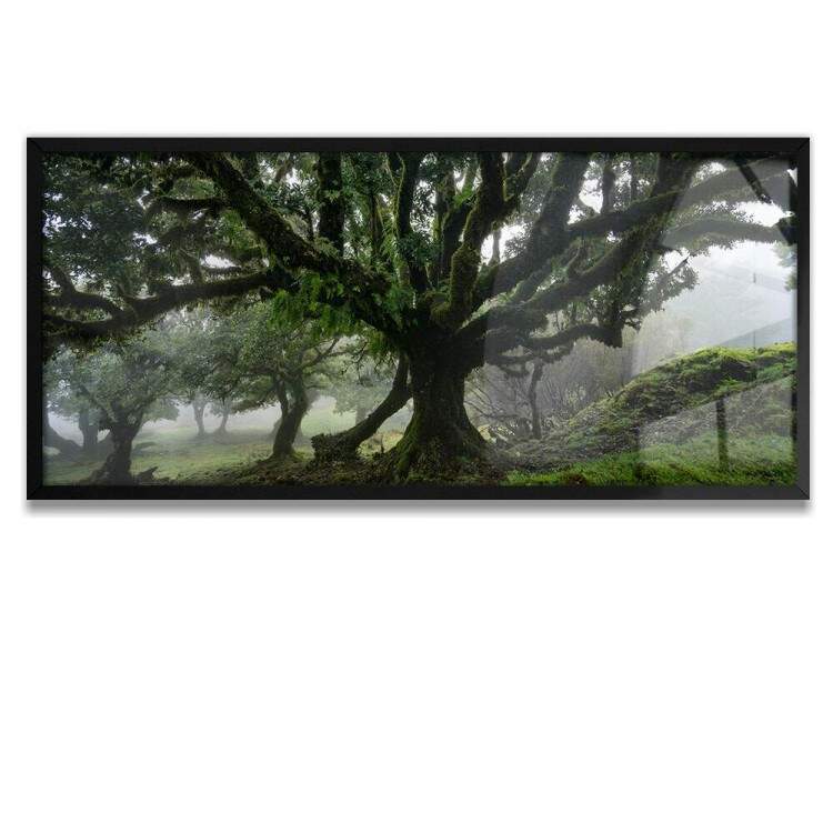 Quadro Decorativo Slim rvore na Floresta