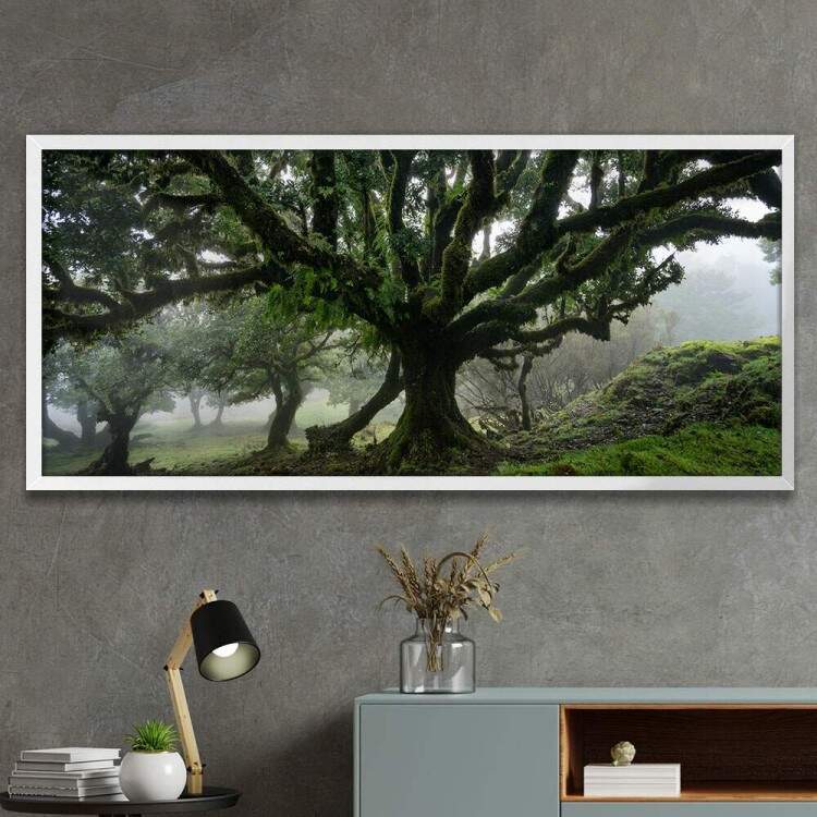 Quadro Decorativo Slim rvore na Floresta