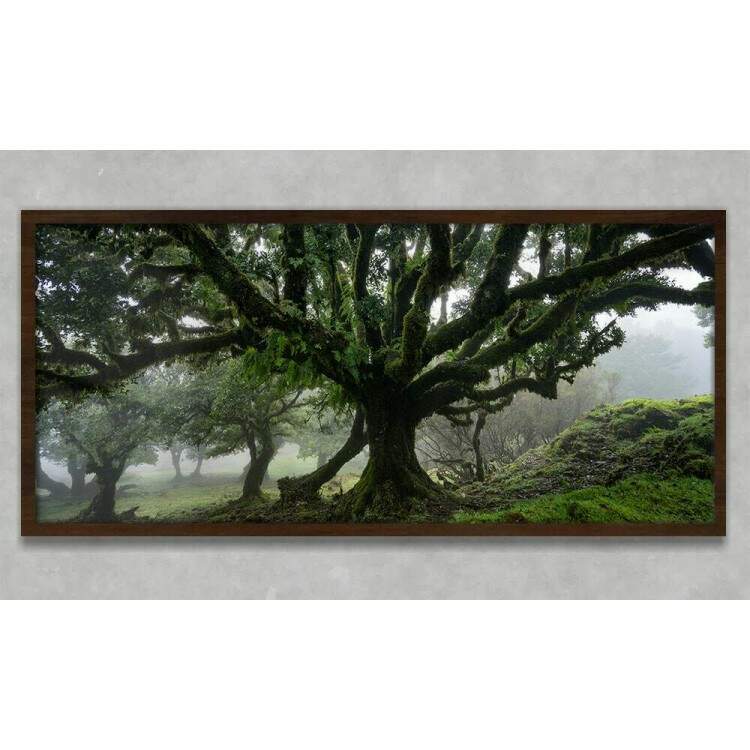 Quadro Decorativo Slim rvore na Floresta